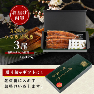 【丑の日に合わせてお届け！】【鹿児島県産】うなぎ蒲焼じっくり焼き約125g×3尾 化粧箱入り(大新/IB021-008u) うなぎ