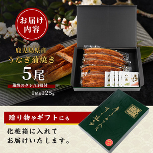 【丑の日に合わせてお届け！】【鹿児島県産】うなぎ蒲焼じっくり焼き約125g×5尾 化粧箱入り(大新/IB021-009u)  うなぎ
