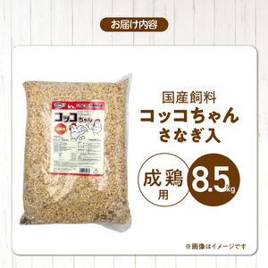 コッコちゃん 成鶏用 さなぎ入 8.5kg_コッコちゃん 成鶏用 飼料 さなぎ入 8.5kg 成鶏 健康維持 さなぎ 配合 産卵 サポート 卵 カルシウム 豊富 国産 原料 タンパク質 ビタミン ミネラル アミノ酸 自然 農作物 キンケイ チャボ 烏骨鶏 鶏 福岡県 久留米市 送料無料 〔Pf081〕