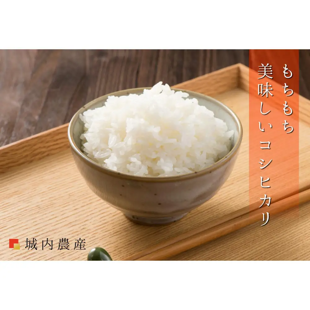 【令和７年産】城内農産【お米定期便/全１２回】南魚沼産コシヒカリ　無洗米４kg（２ｋｇ×２）＜5割減農薬栽培米＞【定期便 銘柄米 ブランド米 無洗米 こしひかり コシヒカリ 魚沼産 新潟米 産地直送 お米 米 こめ コメ ご飯 御飯 ごはん】