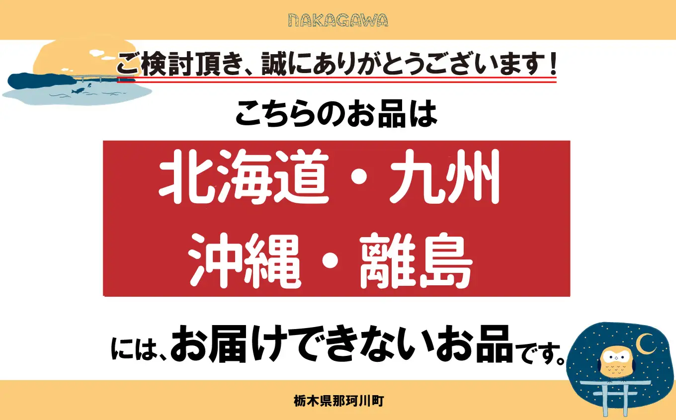 【先行予約】【期間限定】那珂川町産とちあいか 1月発送分 約300g×2 |いちご とちあいか ジューシー フルーティー 大きい 新鮮 甘い 美味しい 果物 共通返礼品 フルーツ デザート 栃木県 那珂川町 送料無料