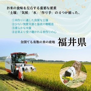 福井県産いちほまれ 米 10kg [D-187001] / いちほまれ