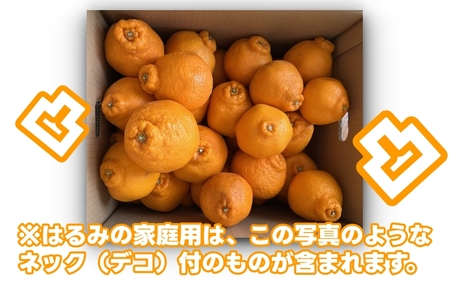 【家庭用】 はるみ 1kg+250g（痛み補償分）光センサー選別 / 訳あり 有田 みかん 柑橘 果物 フルーツ 和歌山 デコポン の姉妹品種 ※2月上旬～3月下旬頃に順次発送予定 ※北海道・沖縄・離島配送不可 【ikd013-c-1B】
