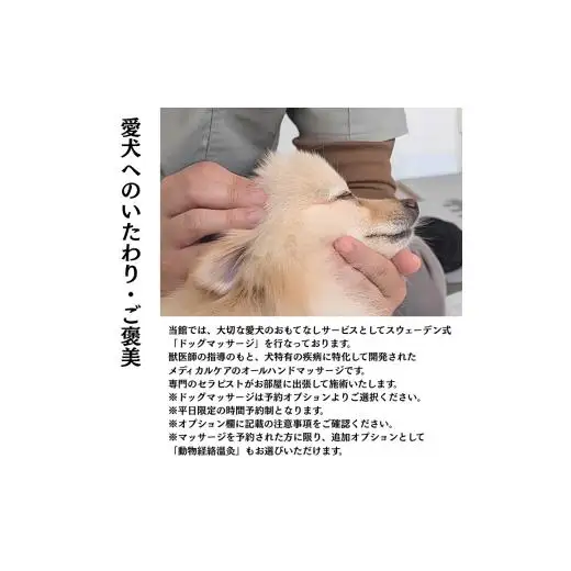 愛犬と癒しの旅　ナガラミリゾートSOSA ご宿泊利用券 9万円分 ／ 宿泊 宿泊券 リゾート ヴィラ ホテル 犬 ペット ドッグラン ドッグマッサージ 温泉 サウナ プール 旅行 リゾート旅