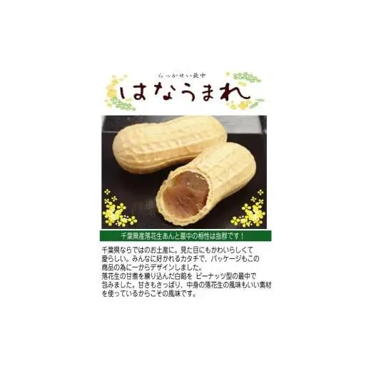 お菓子のたいよう　菓子詰合せBセットト ／ 花彩菓 ぴーなっつサブレ 落花生せんべい はなうまれ 九十九里の詩 ヤマサ醤油まんじゅう すいーとパイもん 和菓子 和スイーツ お菓子 菓子 おやつ お菓子のたいよう お土産