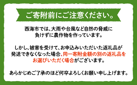 【先行予約：2026年7月上旬より配送】スイカ 2種  金色羅皇＆羅皇ザ・スウィート [CDT008]