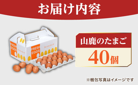 たまご 40個 約2.5kg【マツヤマエッグファーム】[ZAW004]