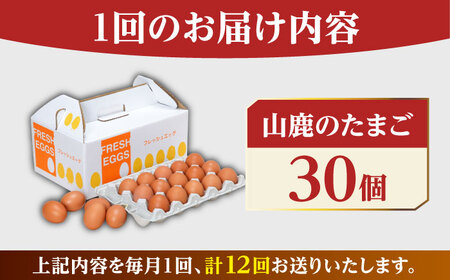 【全12回定期便】 たまご 30個 約2kg【マツヤマエッグファーム】[ZAW008]