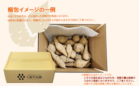 【先行予約】【数量限定】 新居浜大島産 幻のさつまいも 『白いも』 2kg 七福芋 白芋 希少