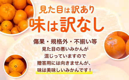 農家直送 有田 みかん 訳あり 5kg 光センサー 選別 / 温州みかん 有田みかん 甘い 家庭用 和歌山 柑橘 ※11月中旬～1月中旬に順次発送 ※北海道・沖縄・離島への配送不可 【nuk004-noka-c5A】 