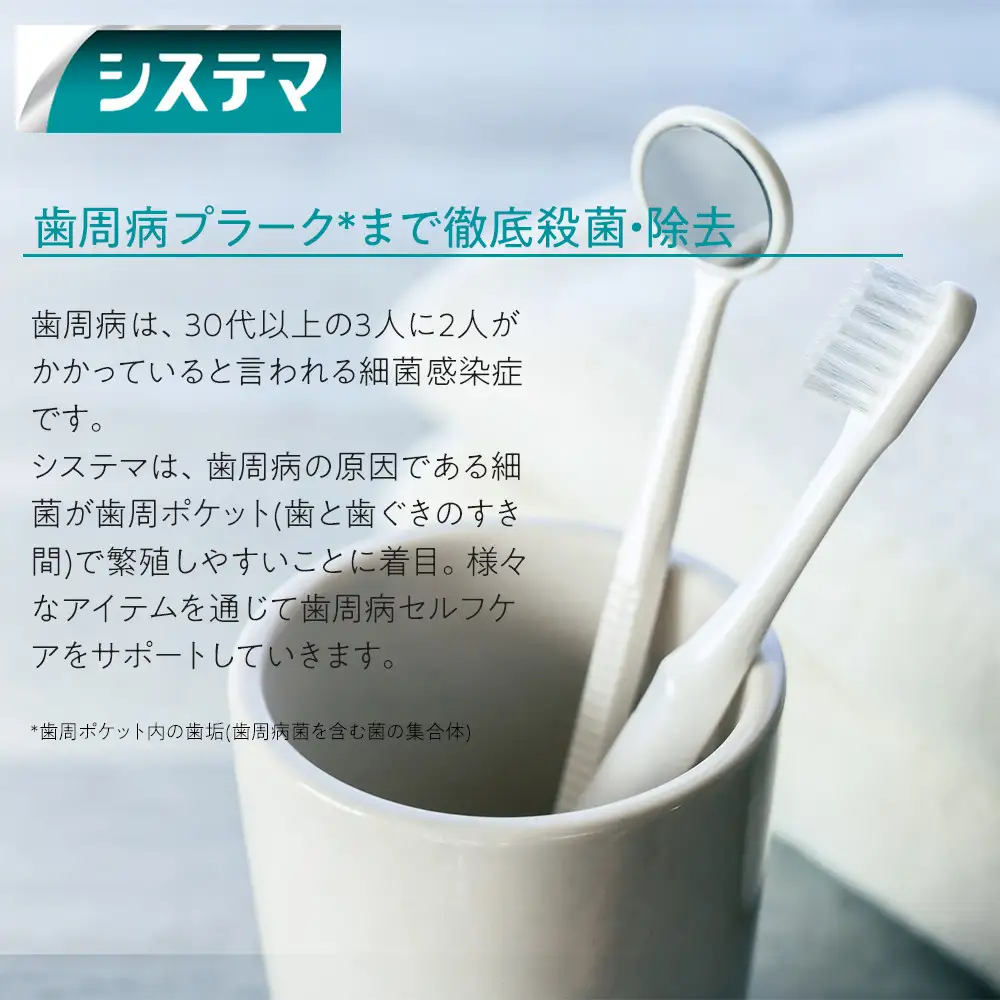 ＬＩＯＮ システマＥＸ（エクストラハーブ）１２本セット ｜ 日用品 ふるさと納税 歯磨き粉 歯磨き粉
