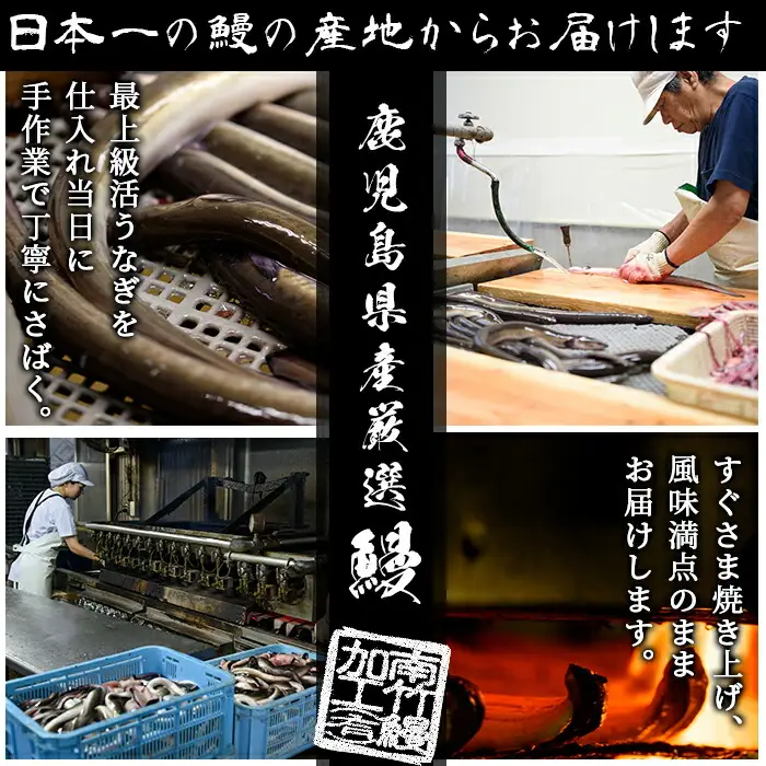 【お中元】国産 うなぎ 白焼き 大 3尾 約480g うなぎ【00-025-08-R8OC】