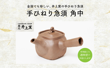 伝統を継承する唯一の窯元「井上窯」の手ひねり急須 角中【窯元 井上窯】