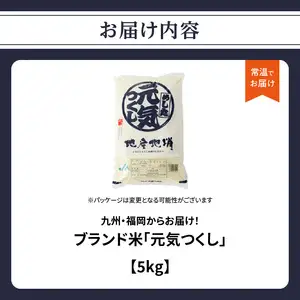 九州・福岡からお届け！ブランド米「元気つくし」5kg×1袋 お米 米 コメ 白米 特A 直送 お弁当 おにぎり 炊きたて ツヤ 粘り もちもち 弾力 卵かけご飯 福岡県 八女市 072-333