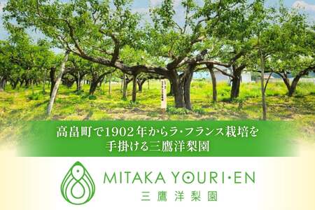 【期間限定発送】 ラ・フランス 山形県 3L?4L 3玉 約1kg [三鷹洋梨園 山形県 高畠町 tk06ays910004]