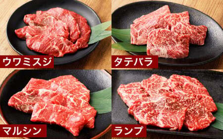 【6ヶ月定期便】おおいた和牛 希少部位4種焼肉セット 約1.2kg（約800g・約400g各1箱セット）×6回 計約7.2kg