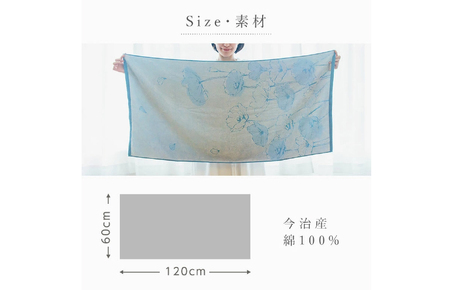 （今治タオルブランド認定）Taoyaka バスタオル 2枚セット  （りんご） [I002930BT2GY]