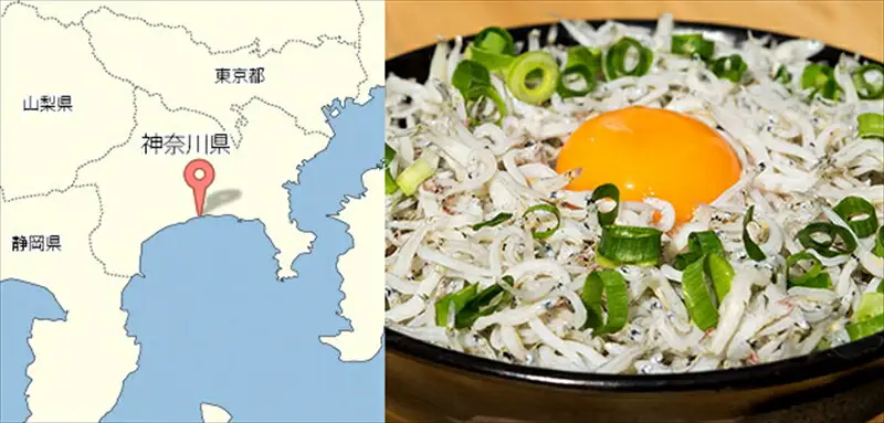 湘南大磯しらす網元 松道丸・釜揚げしらす 2パック 400g （200g×2）【 しらす 魚介類 海鮮 惣菜 おかず ギフト 簡単調理 冷凍配送 送料無料 大磯グルメ 神奈川県 大磯町】