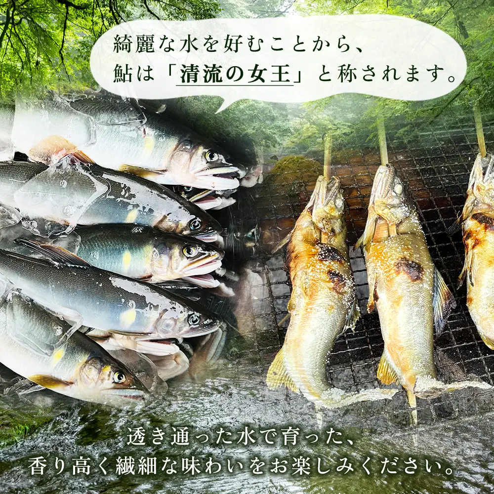 冷凍鮎　約300g 3E4
