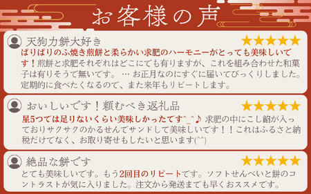 【3ヶ月定期便】老舗の味 天狗力餅20個入×3ヶ月 / 定期便　和菓子　力もち　こし餡　職人の手作り / 銘菓 和菓子 こしあん 由良町 お取り寄せ お土産 ギフト 和歌山県【knkd-tkb002】