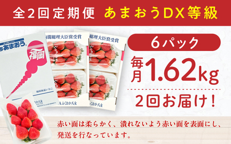 【2回定期便】いちご（あまおう）3ケース / いちご 苺 イチゴ[AFAB080]