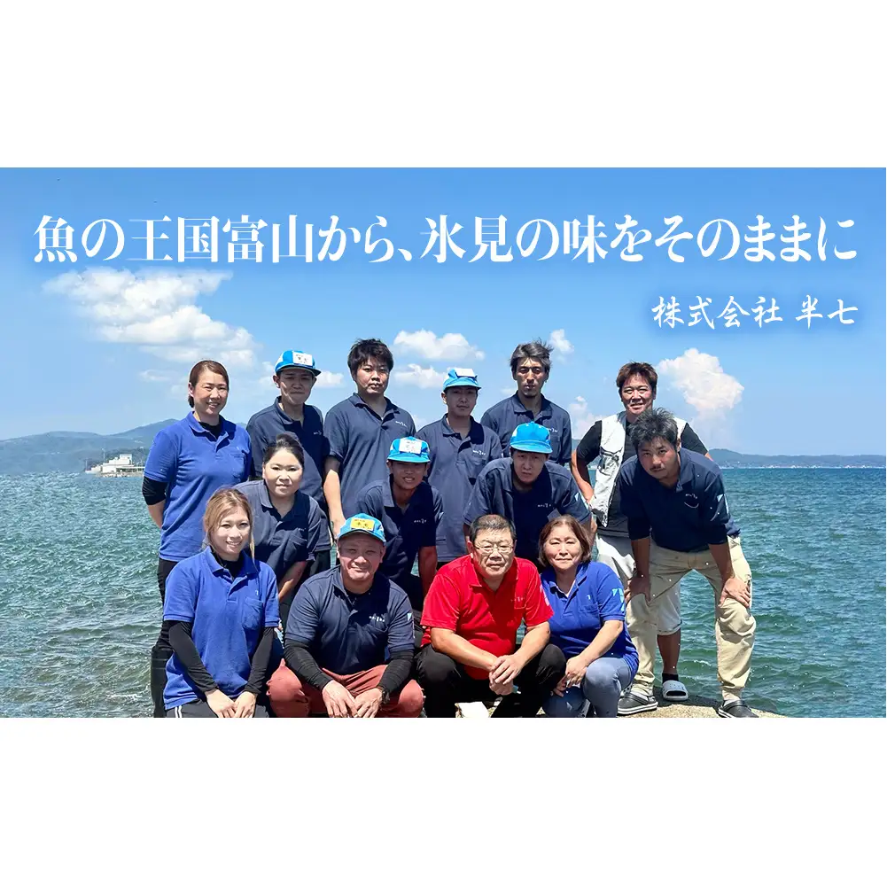 厳選！半七のおまかせ干物 詰め合わせセット（11-12種） 富山県 氷見市 干物 おかず 魚 一品