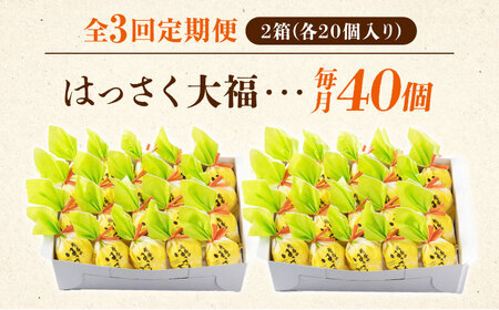 【3回定期便】はっさく大福20個入×2 [BADH034]大福