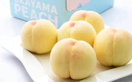 【ご家庭用】 岡山白桃 4~5玉 計約1.2kg 【2026年6月下旬～7月下旬発送予定】 ／ 白桃 桃 もも モモ
