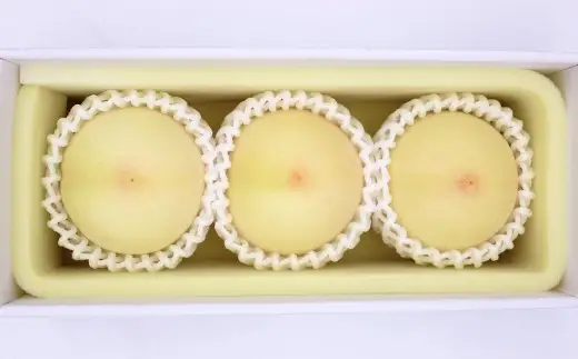 岡山白桃 ロイヤル 3玉 約800g 【2026年7月上旬～7月下旬発送予定】 ／ 白桃 桃 もも モモ