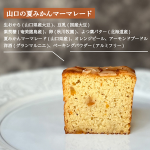 パウンドケーキ 3種 セット 6個 カット 冷蔵 KF005-1