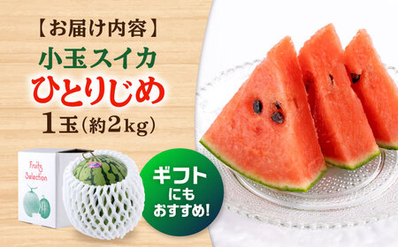 数量限定 小玉スイカ1玉約2kg ひとりじめスイカすいか AYAC054