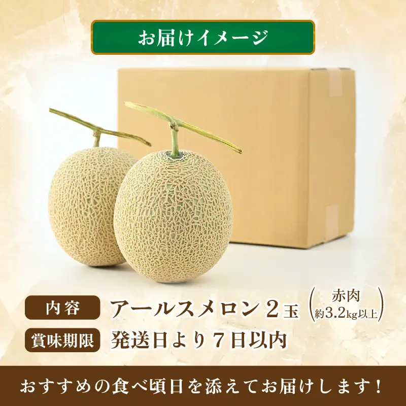 【先行予約】アールスメロン 2玉（約3.2kg以上）赤肉品種 高級メロン！ ／ マスクメロン 大玉 果物 フルーツ 夏 ギフト 農家直送 ※2027年6月下旬以降順次発送 [aw065-a014]
