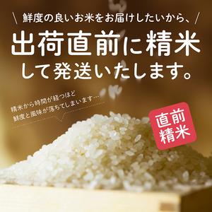 《令和7年産》【12か月定期便】《白米》あきたこまち なまはげ 米袋 米 10kg×12回 一等米 ギフト パッケージ 限定デザイン 紙袋 リメイク 工作 お面 こども お土産 秋田 潟上市 【こまちライン】