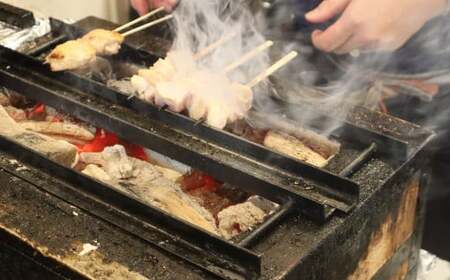 松本商店（やきとり和笑）が焼き上げた「肥後のうまか赤鶏」串盛10本セット 肉 お肉 鶏肉 にく 串盛り セット 赤鶏 串 串焼き 焼串 焼き鳥 やきとり 焼鳥 もも ねぎま