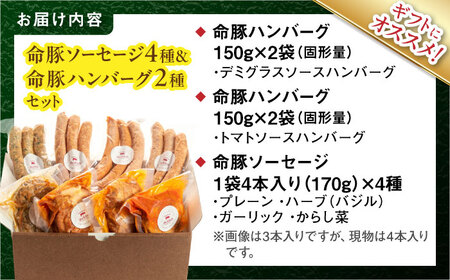ソーセージ ハンバーグ 『命豚ソーセージ4種＆命豚ハンバーグ2種セット』  BCAR002 豚肉