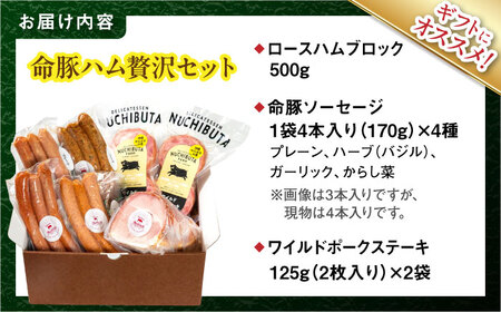 『ハム贅沢セット』 豚肉 ポーク ステーキ ソーセージ ハム 詰め合わせ  BCAR007 豚肉
