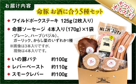 『お酒に合うセット』 豚肉 ポークステーキ ソーセージ レバー パテ レバーペースト スモークレバー 詰め合わせ  BCAR009 豚肉