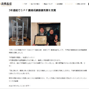 【北海道産ブランドSPF豚使用】若松しゅうまい大粒プレミアム 6個入り6パック セット 若松ポークマン 豚肉 シュウマイ 焼売 弁当 冷凍 チルド 蒸し せたな町 ふるさと納税  