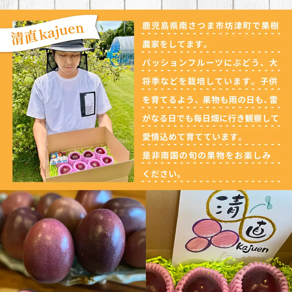 鹿児島県産 パッションフルーツ 約2kg（10～12個程度×2箱） ［数量・期間 限定 ］ 先行予約 先行受付 国産 フルーツ 果物 くだもの 青果 食品 デザート スイーツ おやつ 旬 夏 季節限定 季節の果物 酸味 甘み プチプチ 南国 トロピカルフルーツ 南国フルーツ お取り寄せ グルメ 農園 農園直送 農家直送 産地直送 清直kajuen 鹿児島 鹿児島県 南さつま市
