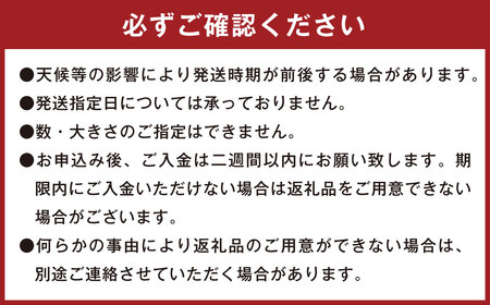 004-1304 シルク姫 約5kg（A品） さつまいも いも イモ 芋 シルクスイート 国産 常温 大分県 豊後大野市 【2025年9月上旬～2026年5月下旬発送予定】