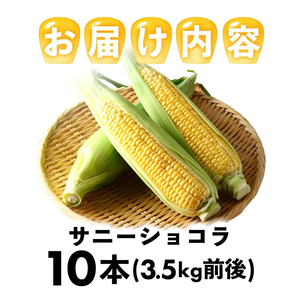 上品な甘さのトウモロコシ「サニーショコラ」(3.5kg前後/10本)　| サニーショコラ トウモロコシ 甘い コーン とうもろこし 野菜 BBQ おやつ