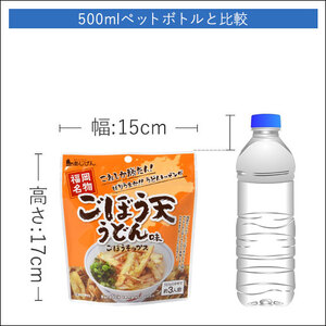 ごぼう天うどんチップス (9袋・1袋40g) 野菜 ゴボウ 牛蒡 おつまみ おやつ お菓子 おかし スナック 常温 【man313】【味源】