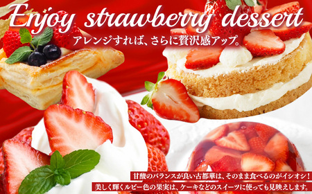 古都華 約540g （270g×2P）Lサイズ以上 