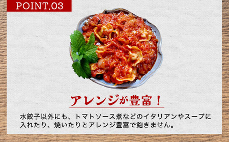 「人気・手包みイカ水餃子」【30個入】×3パック【パーティー規格】剣先イカ専門店オリジナル