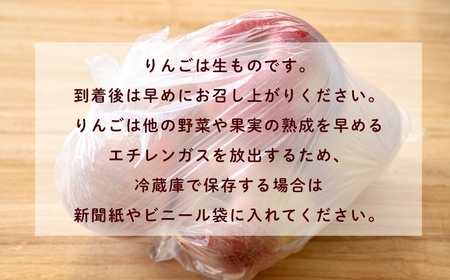 りんご 紅玉 約2～2.5kg（8～14玉）【2026年10月上旬より発送 先行予約】At-007
