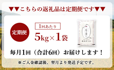 令和7年産 北海道 赤平産 ゆめぴりか 5kg 【限定寄附額】 6ヵ月連続お届け 白米 精米 米 北海道 ごはん ご飯 ライス おにぎり 定期便 定期 お楽しみ 6回