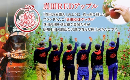 長野県 真田 RED アップル ジュース 瓶 1000ml 6本 飲料 果汁 100% フルーツ リンゴ 果物 りんご 林檎 無香料 無着色 ストレート にごり 旬 搾りたて 贅沢 戦国武将 ギフト お取り寄せ 信州 まちづくり上田 送料無料 長野県 上田