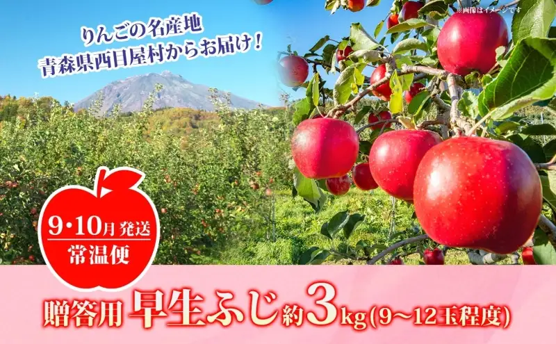 りんご 【9月・10月発送】贈答用 早生ふじ 約3kg　リンゴ 林檎 青森りんご 糖度 13度 甘い 酸味 デザート フルーツ 果物 お取り寄せ 産地直送 旬 季節限定 弘果物流 青森県 西目屋村 西目屋村産