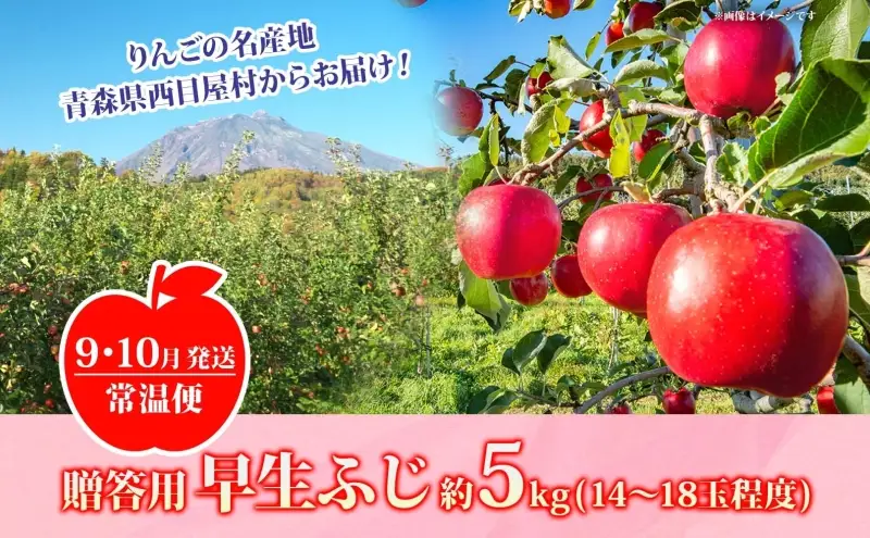 りんご 【9月・10月発送】贈答用 早生ふじ 約5kg　リンゴ 林檎 青森りんご 糖度 13度 甘い 酸味 デザート フルーツ 果物 お取り寄せ 産地直送 旬 季節限定 弘果物流 青森県 西目屋村 西目屋村産