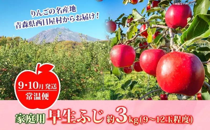 りんご 【9月・10月発送】家庭用 早生ふじ 約3kg　リンゴ 林檎 青森りんご 糖度 13度 甘い 酸味 デザート フルーツ 果物 お取り寄せ 産地直送 旬 季節限定 弘果物流 青森県 西目屋村 西目屋村産